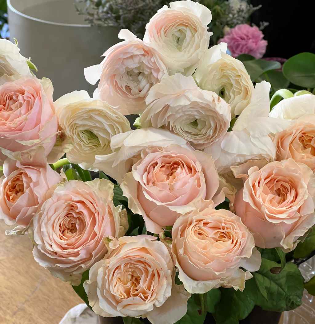 𝐯𝐞𝐫𝐲 𝐝𝐞𝐦𝐮𝐫𝐞, 𝐯𝐞𝐫𝐲 𝐦𝐢𝐧𝐝𝐟𝐮𝐥